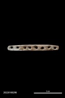 藏品(穿孔骨器)的圖片